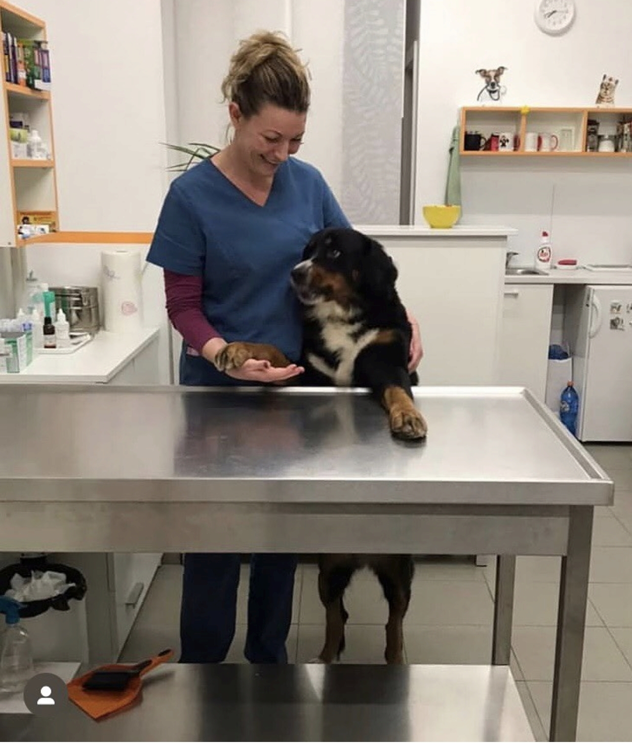 Veterinar sa psom