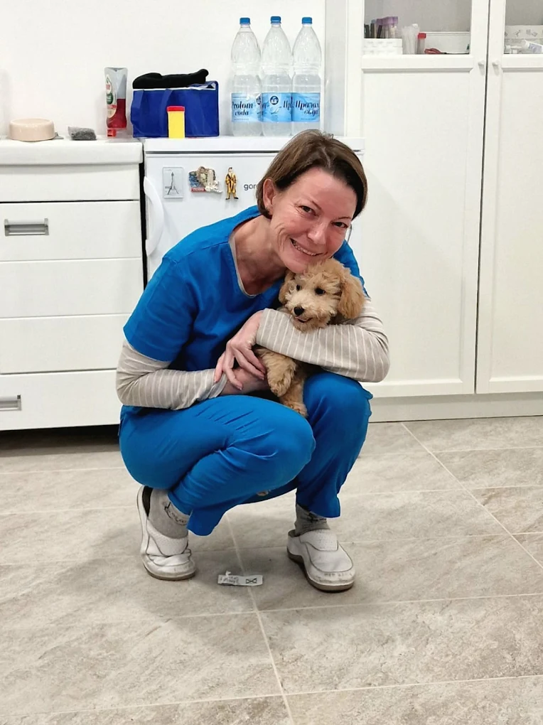 Veterinar sa psom u Zemunu