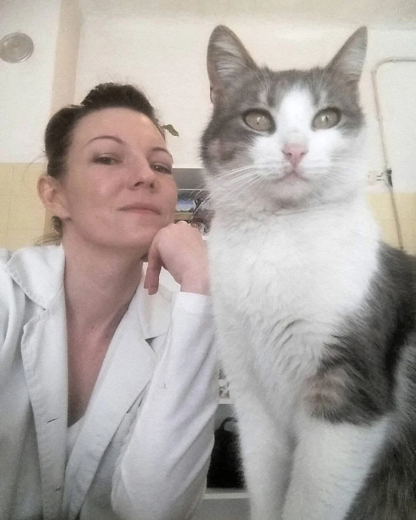 Iz ordinacije Zemun